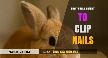 Grooming Your Bunny: A Gentle Guide to Trimming Rabbit Nails