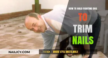 Calmly Trim Your Dog's Nails During a Fight