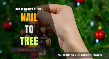 Unveiling the Mystery: Identifying Witch's Nail on Trees