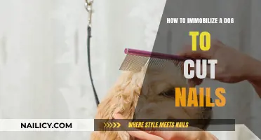 Calmly Immobilizing Your Dog for Nail Trims