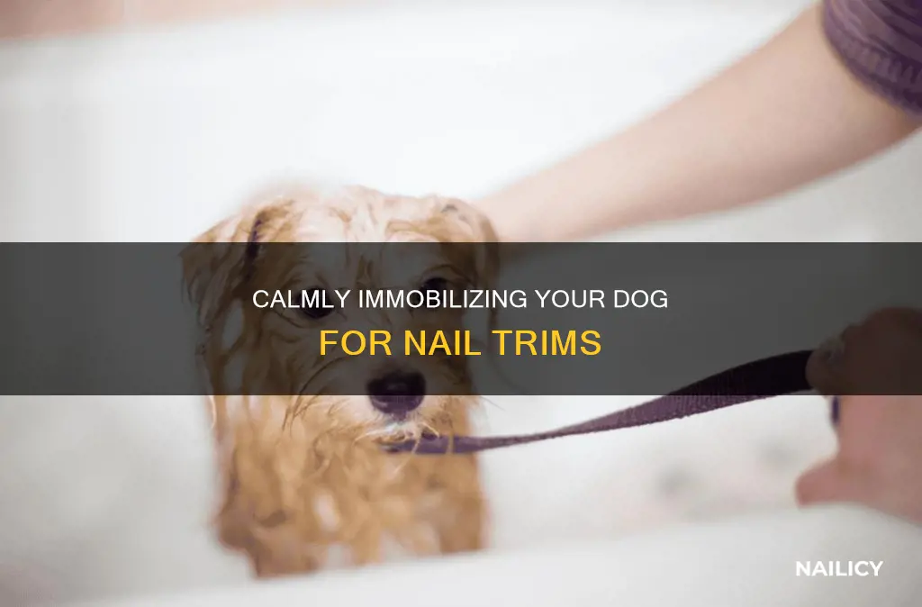how to immobilize a dog to cut nails