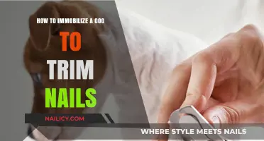 Trimming Dog Nails: The Easy Immobilization Technique