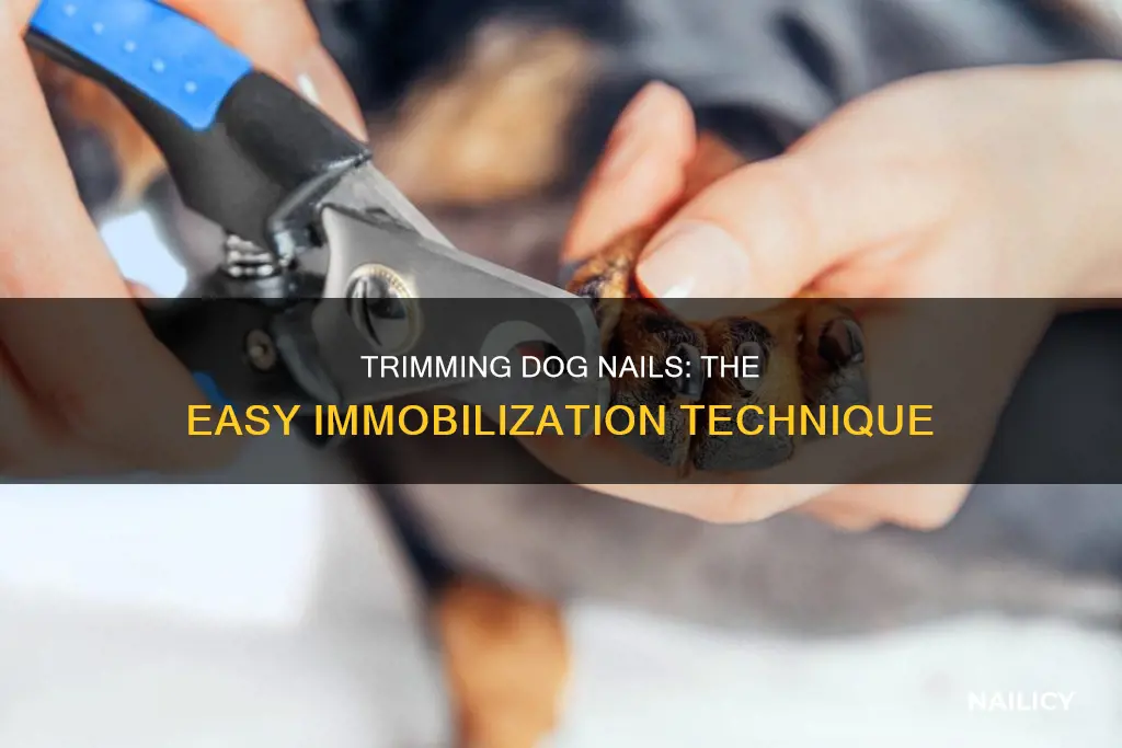 how to immobilize a gog to trim nails