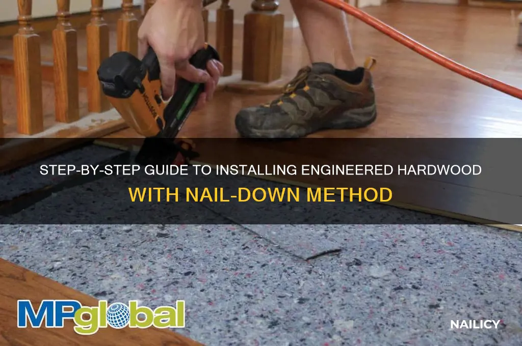 how to install engineered hardwood nail down