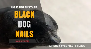 Trimming Black Dog Nails: A Safe Guide