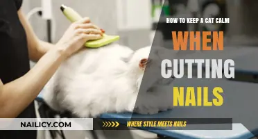 Calm Cat Claw Trims: Tips for Stress-Free Nail Cutting