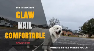 Comfortable Dew Claw Care: Tips for Happy, Healthy Canine Nails