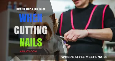 Calm Nail Trims: Tips for a Relaxed Pup