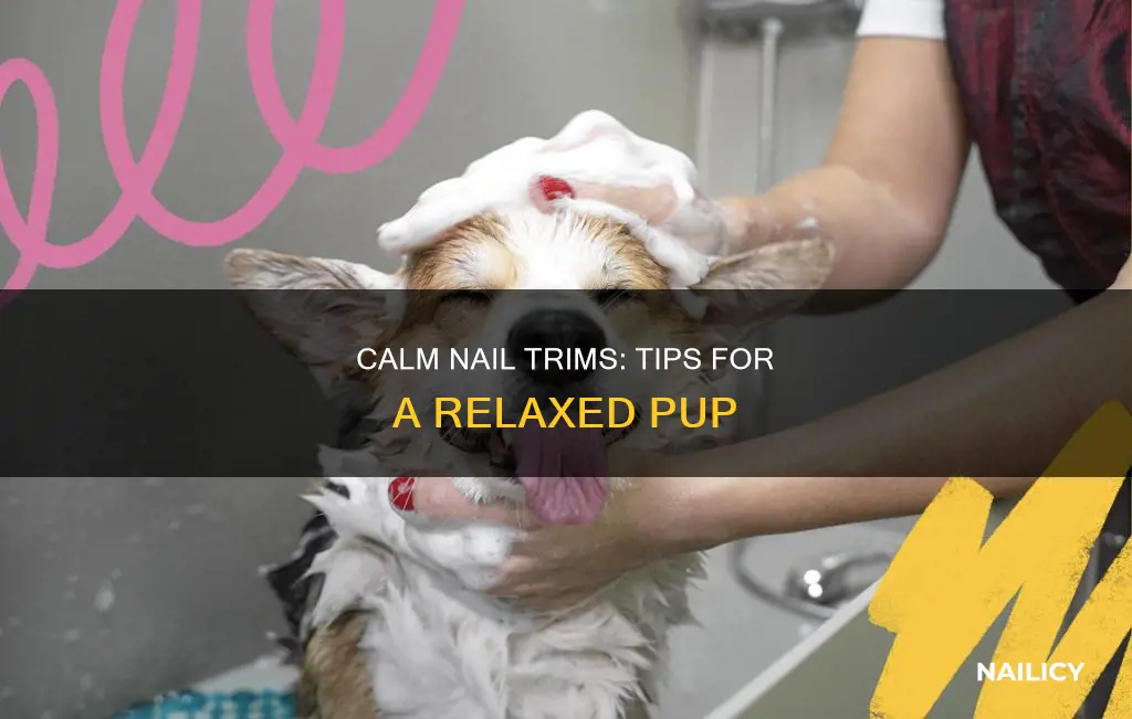 how to keep a dog calm when cutting nails