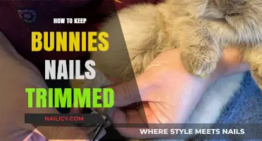 Trimming Bunny Nails: A Guide to Maintaining Healthy Claws