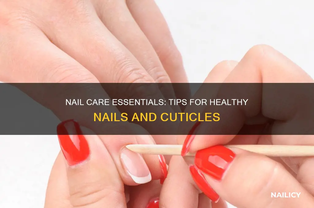 how to keep nails and cuticles healthy