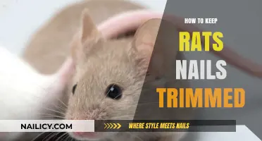 Trimming Rat Nails: A Quick Guide to Grooming