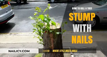 Effective Stump Removal: Using Nails to Kill Tree Stumps Fast