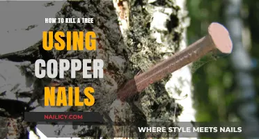 The Surprising Method: Using Copper Nails to Safely Remove Trees