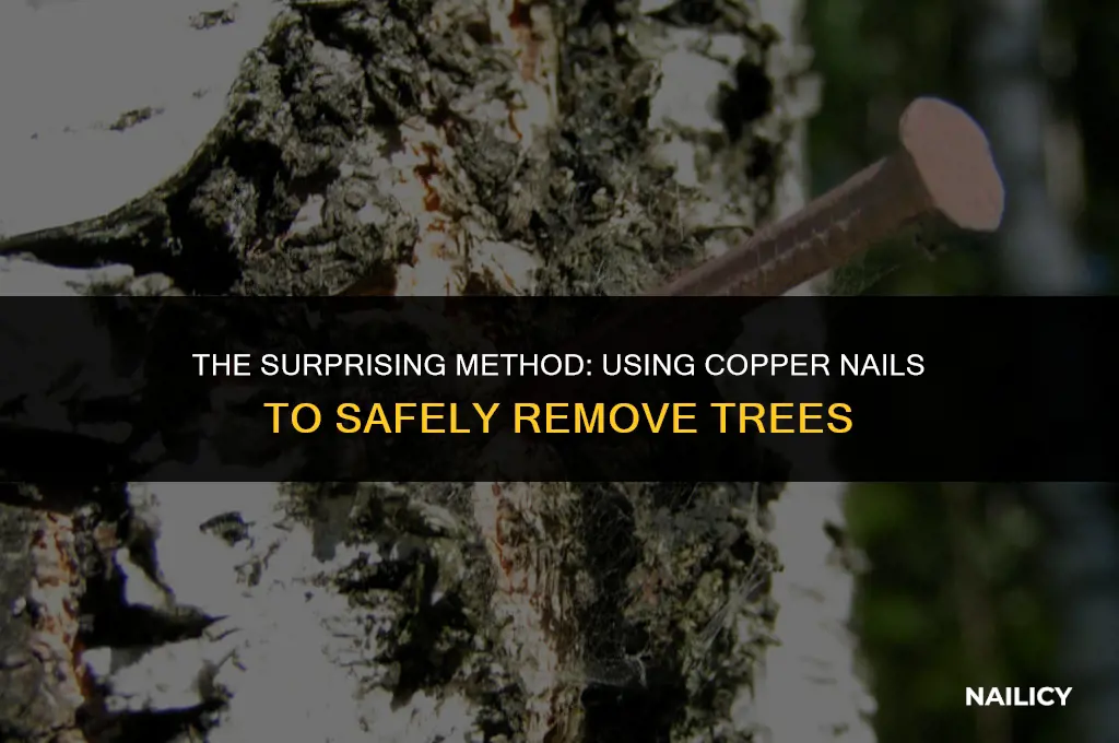 how to kill a tree using copper nails