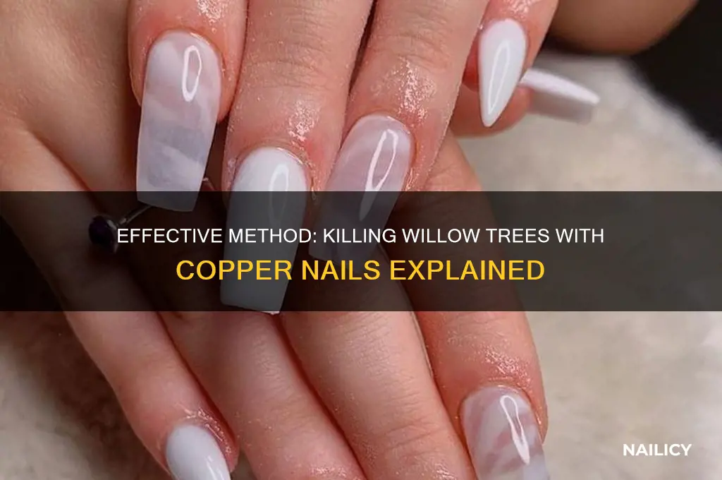 how to kill a willow tree copper nails