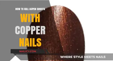 Effective Method: Using Copper Nails to Eliminate Aspen Shoots Permanently