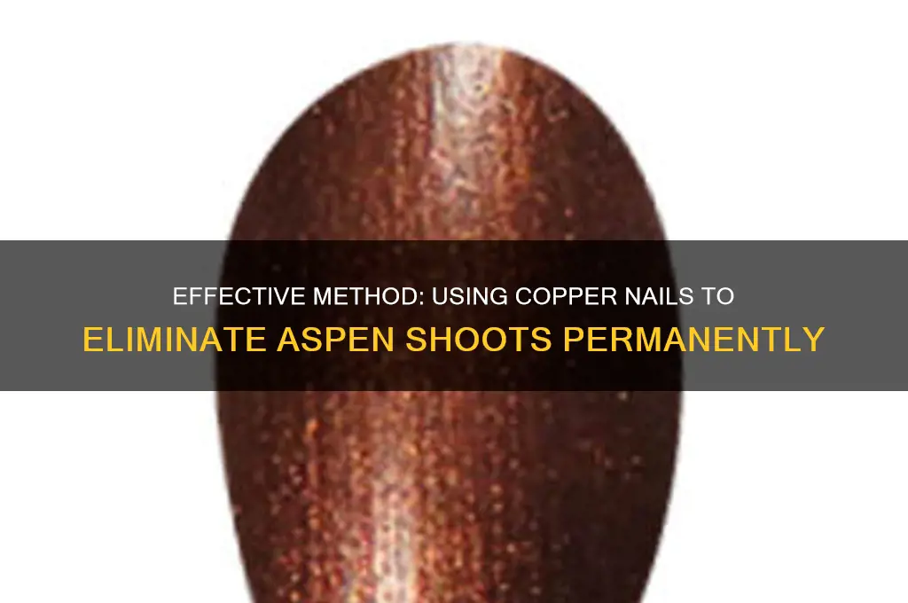 how to kill aspen shoots with copper nails