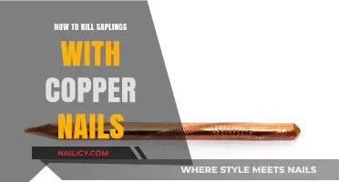 Effective Copper Nail Method to Eliminate Unwanted Saplings Permanently