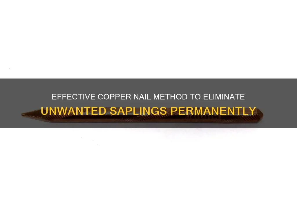 how to kill saplings with copper nails