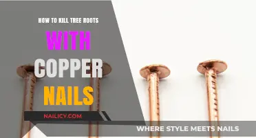 Effective Copper Nail Method to Kill Tree Roots Safely