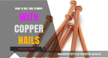 Effective Stump Removal: Using Copper Nails to Kill Tree Stumps
