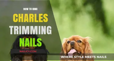 Trimming King Charles Nails: A Step-by-Step Guide