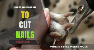 Calmly Sedating Your Dog for Nail Trims