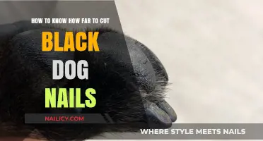 Trimming Black Dog Nails: How Short is Too Short?