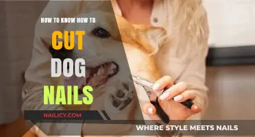 Trimming Dog Nails: A Guide to Safe Clipping