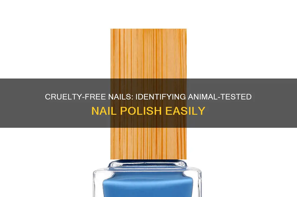 how to know if nail polish is tested on animals