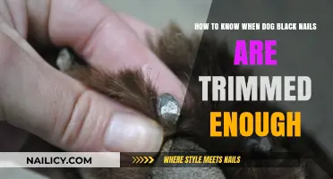 Trimming Black Nails: How Short is Too Short?