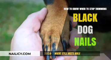 Trimming Black Dog Nails: A Guide to the Perfect Trim