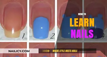 Mastering Nail Art: A Beginner's Guide to Learning Nail Techniques