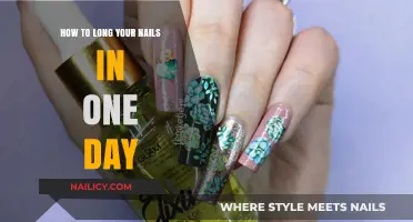 Longer Nails in a Day: The Ultimate Guide