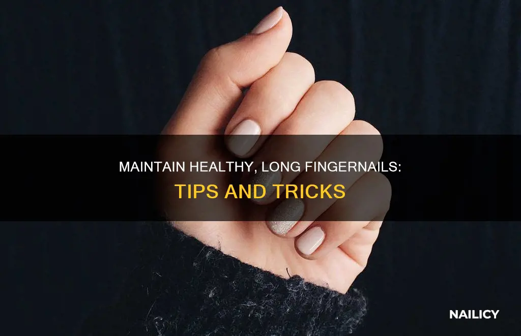 how to maintain finger nail length