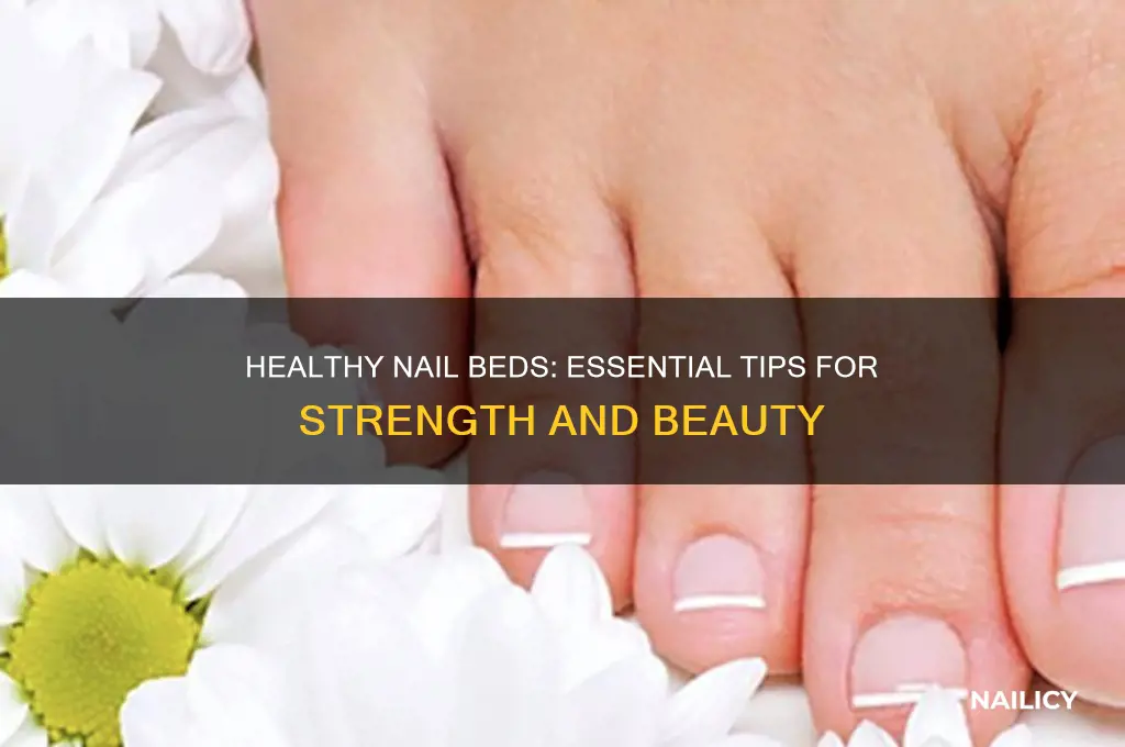 how to maintain nail beds