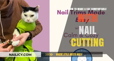 Trimming Cat Claws: Tips for a Relaxed Experience