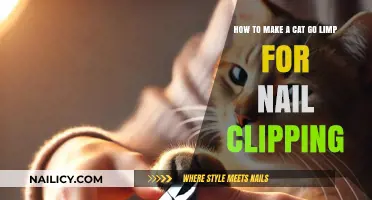 Clipping Cat Nails: Tricks for a Calm, Limp Cat