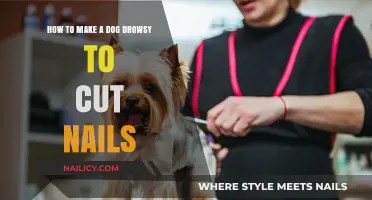 Calm Your Dog for Nail Trims