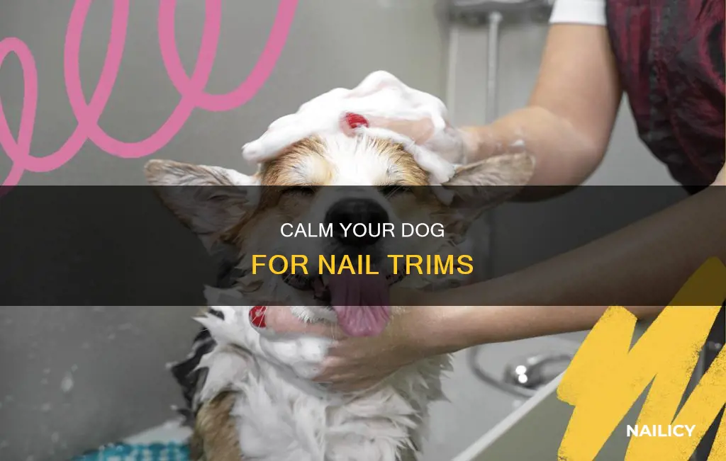 how to make a dog drowsy to cut nails