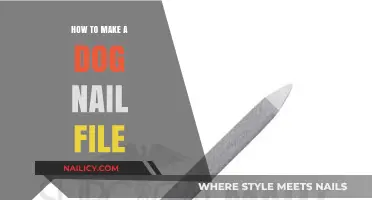 Crafting a Dog Nail File: DIY Guide