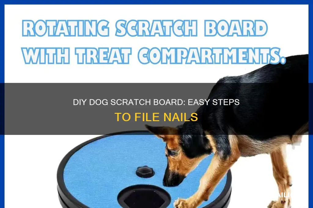 how to make a dog nail scratch board