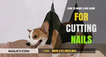 Creating a Dog Sling for Nail Trims at Home