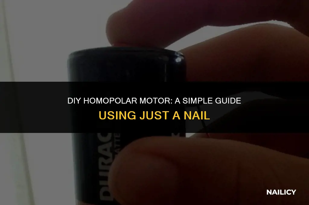 how to make a homopolar motor using a nail