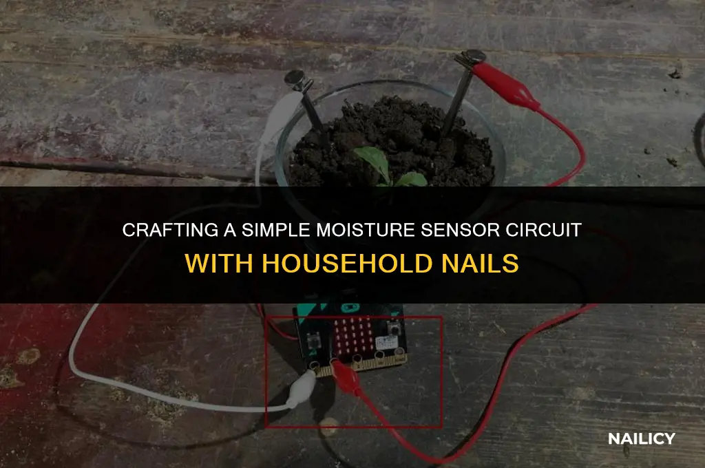 how to make a moisture sensor circuit using nails