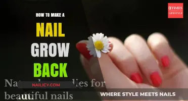 Regrowing Nails: Quick and Easy Home Remedies