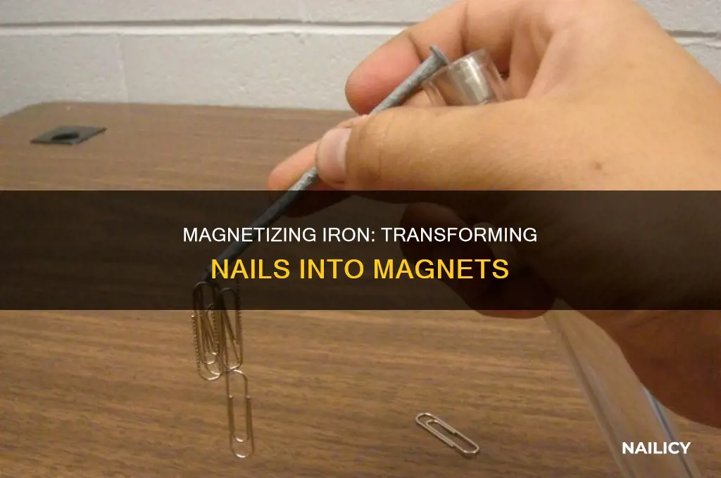 how to make a permanent magnet from an iron nail