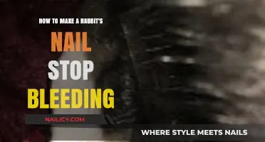 Stop Rabbit Nail Bleeding: Quick and Easy Methods