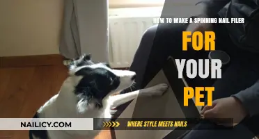 Crafting a Pet Nail Filing Solution